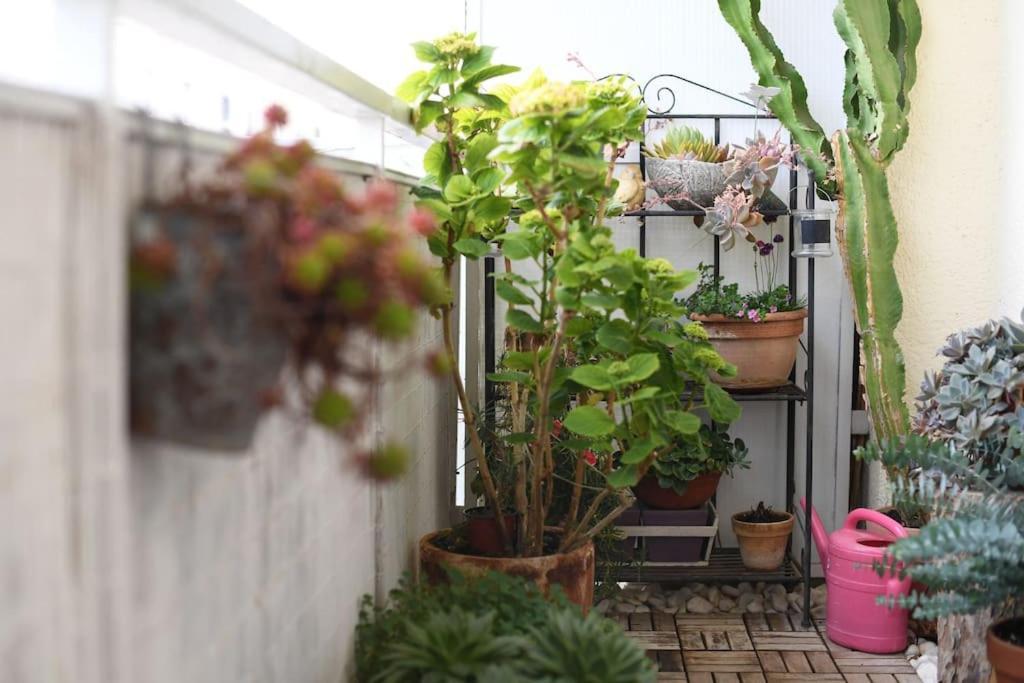 Apartman Ilijana Zadar Exteriör bild